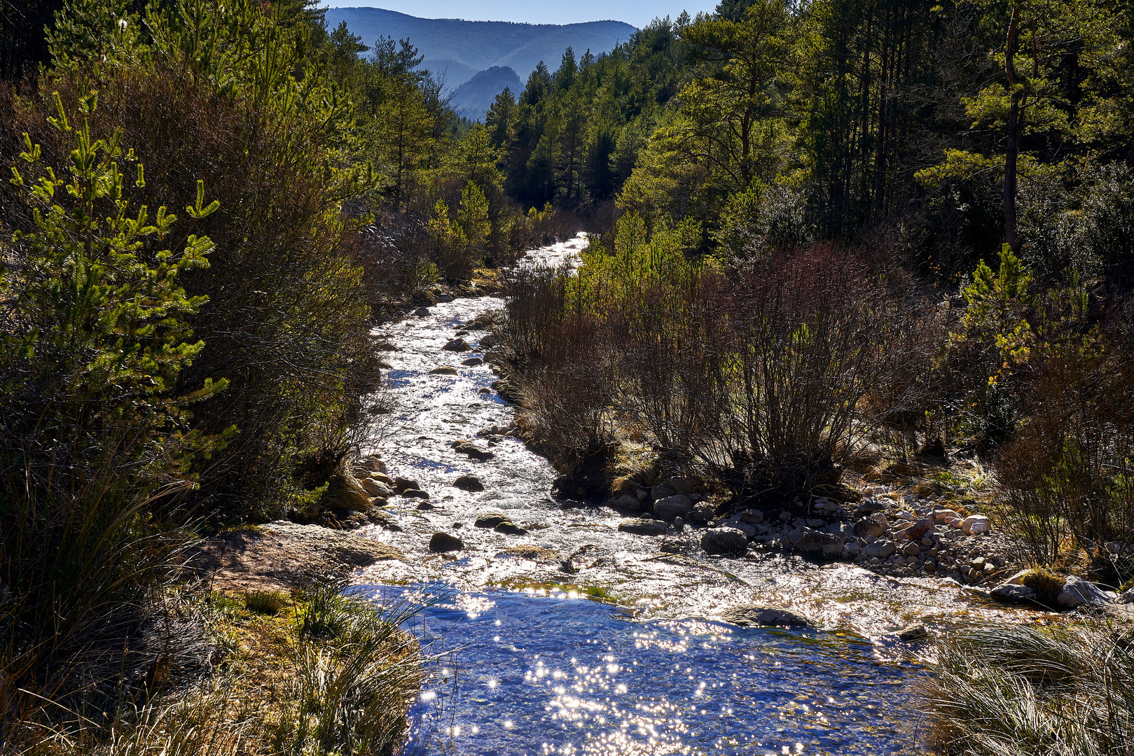 Rio abajo