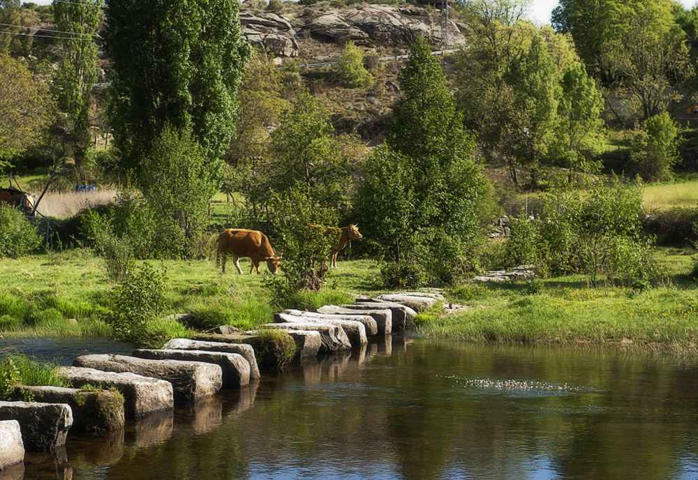 Rio Alberche. ( Avila ) - I I