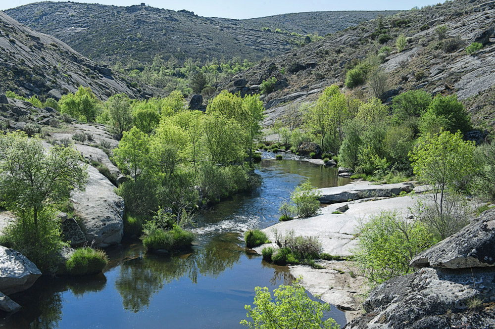 Rio Alberche. ( Avila ) - I I I