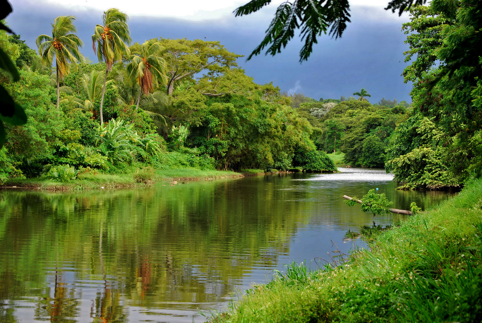 Río Almendares