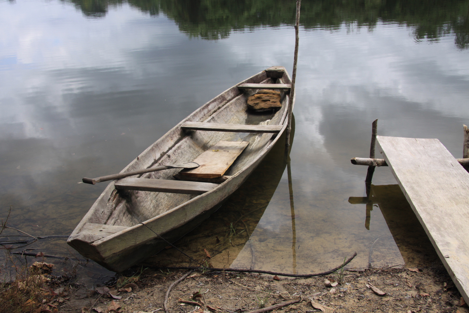 rio amazonas