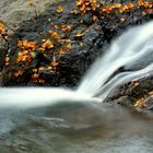 rio andarax laujar almeria