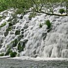 Río Arenteiro - O Carballiño