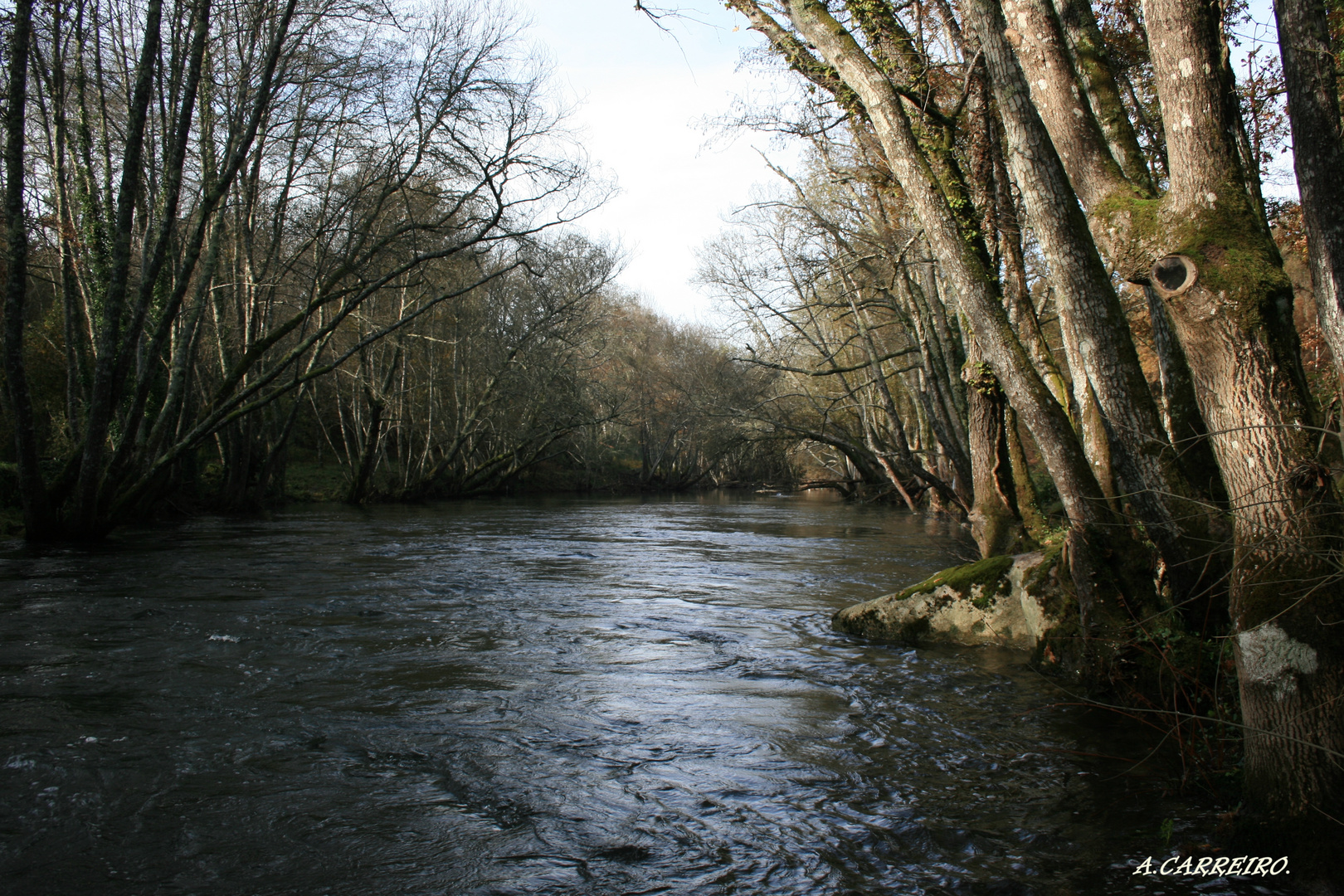 Río Arenteiro (O Carballiño)