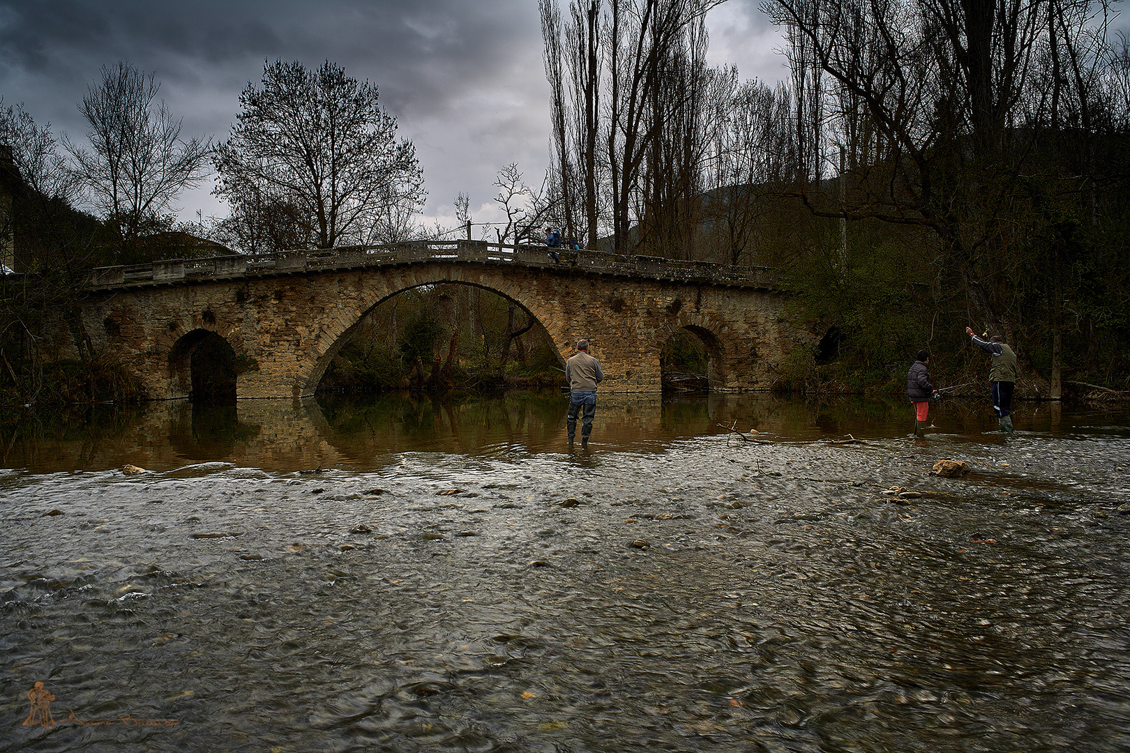 Río Arga