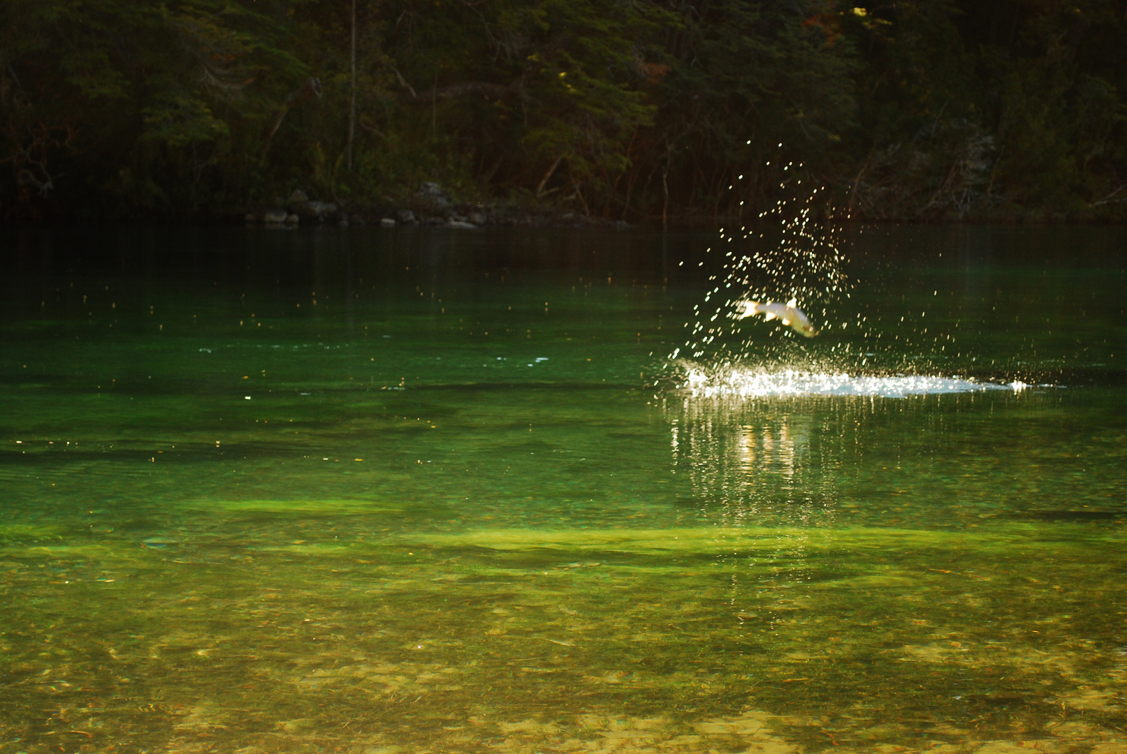 rio arrayanes.