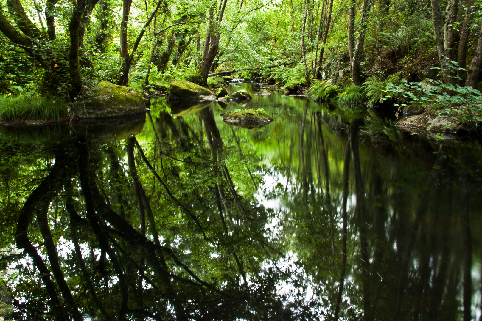 Río Asma Chantada. En donde el sonido se hace silencio: Para mi amiga Adriana Prieto.