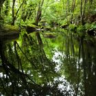 Río Asma Chantada. En donde el sonido se hace silencio: Para mi amiga Adriana Prieto.