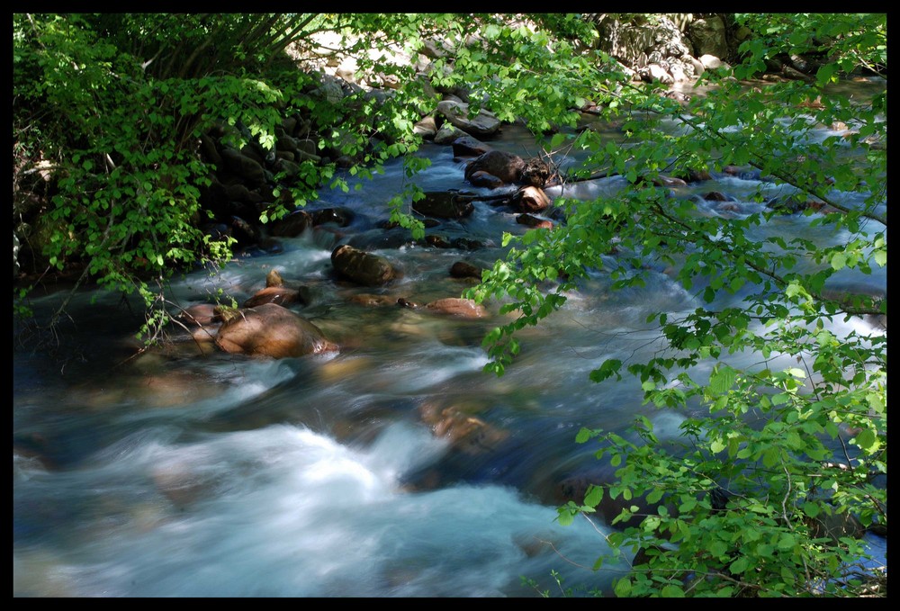 Rio Baztan Navarra