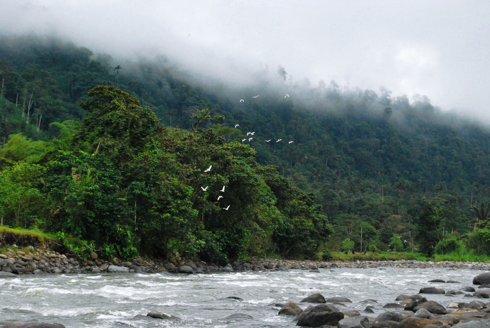 Río Blanco