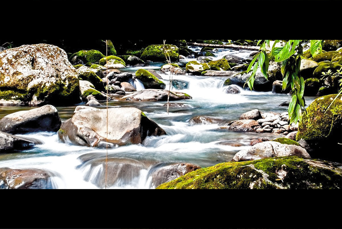 Rio Blanco Costa Rica