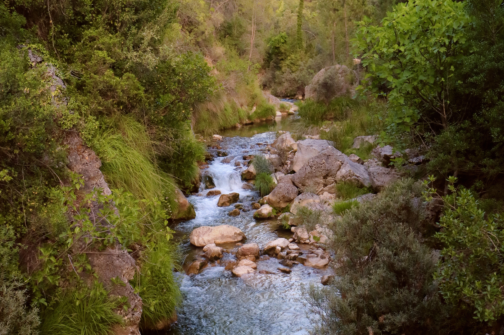 Río Borosa 2 (Cazorla)