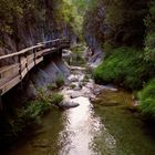 Río Borosa (Cazorla)