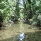 Río Borosa ( Jaén ) Parque Natural Sierra de Segura , Cazorla y Las Villas