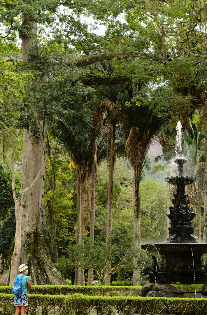 Rio-Botanico-fountain-of-youth-sizes-in-relations