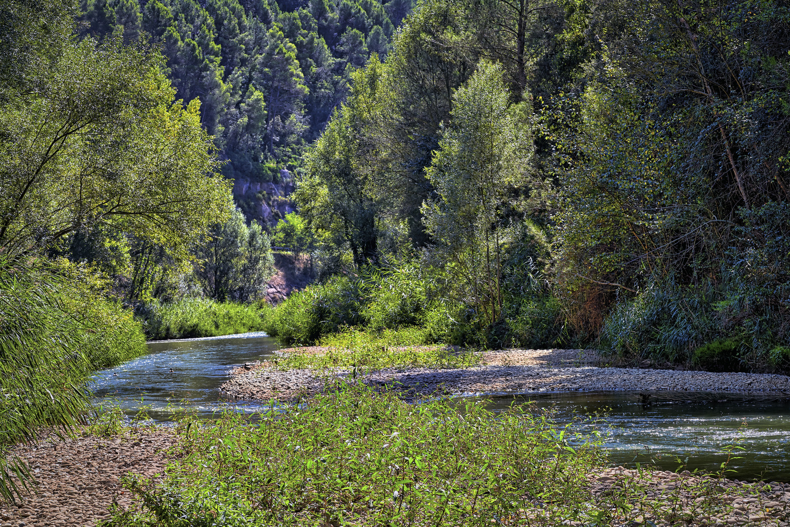 Río Cardener