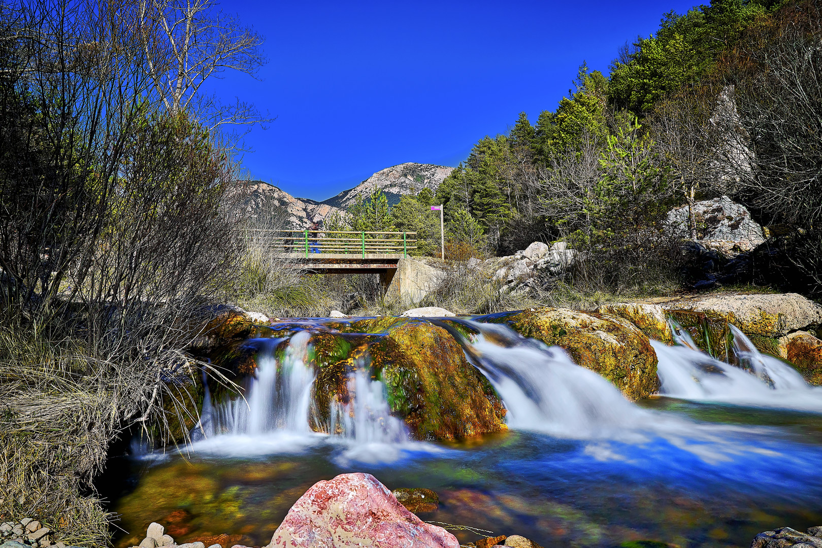 Rio Cardener