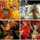 Rio Carnival 2008 - Wonderfull Women, Wonderfull city!! / Series: Life in Rio.