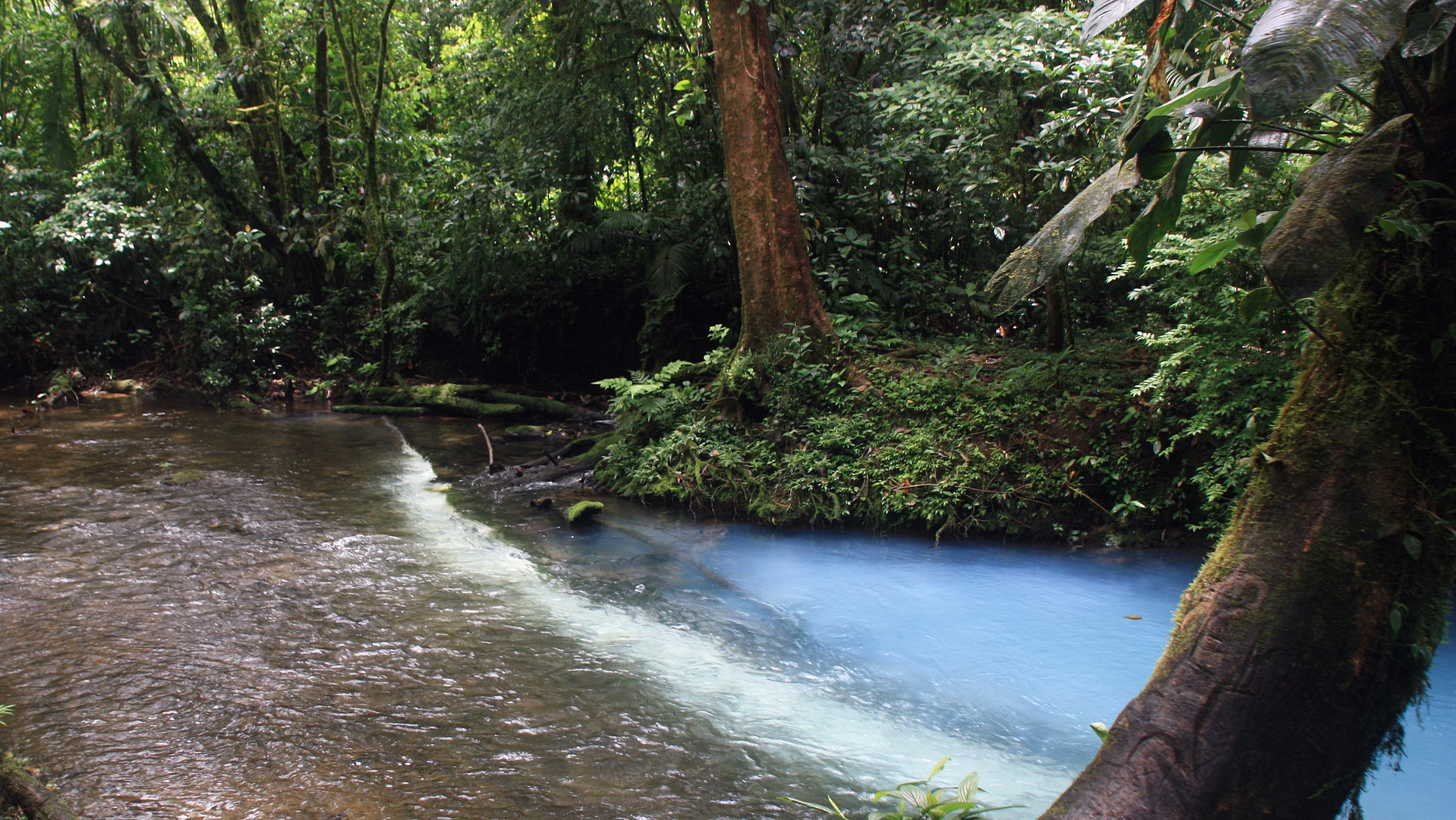 Rio Celeste