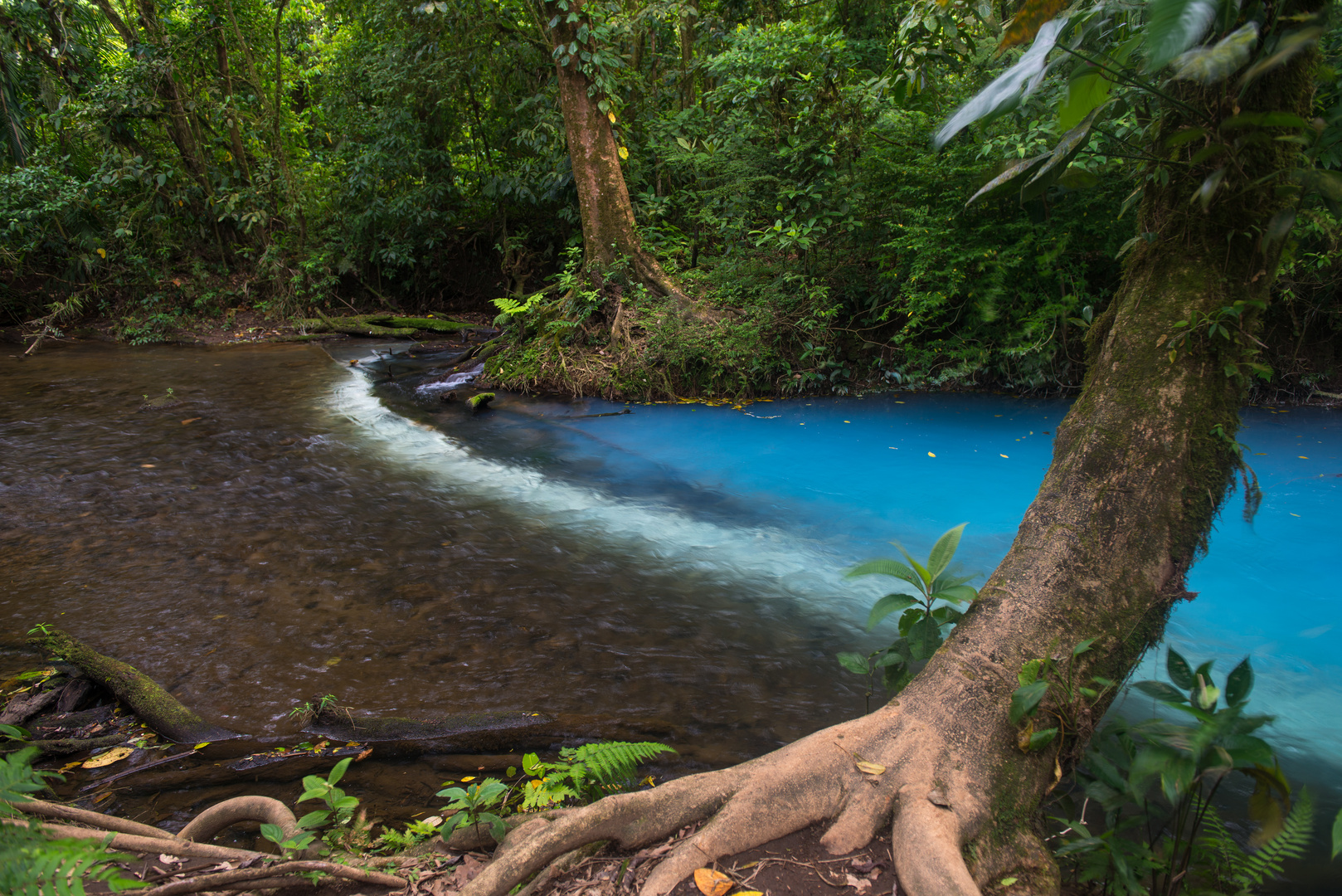 Rio Celeste - Costa Rica