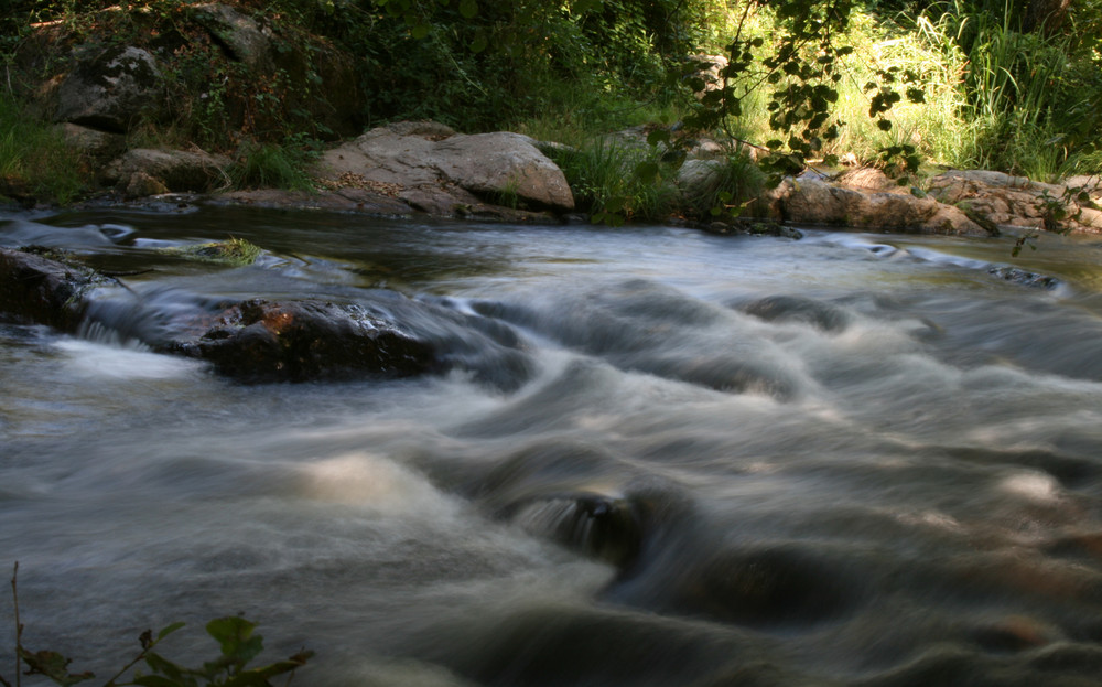 rio cuerpo de hombre II