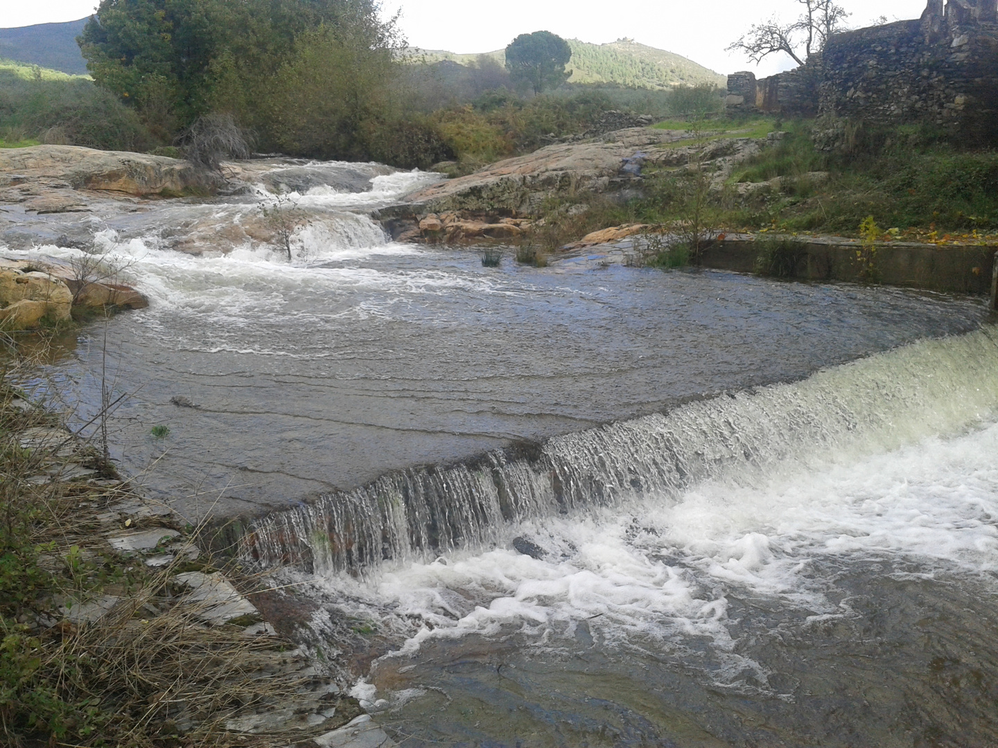 rio de criahijos