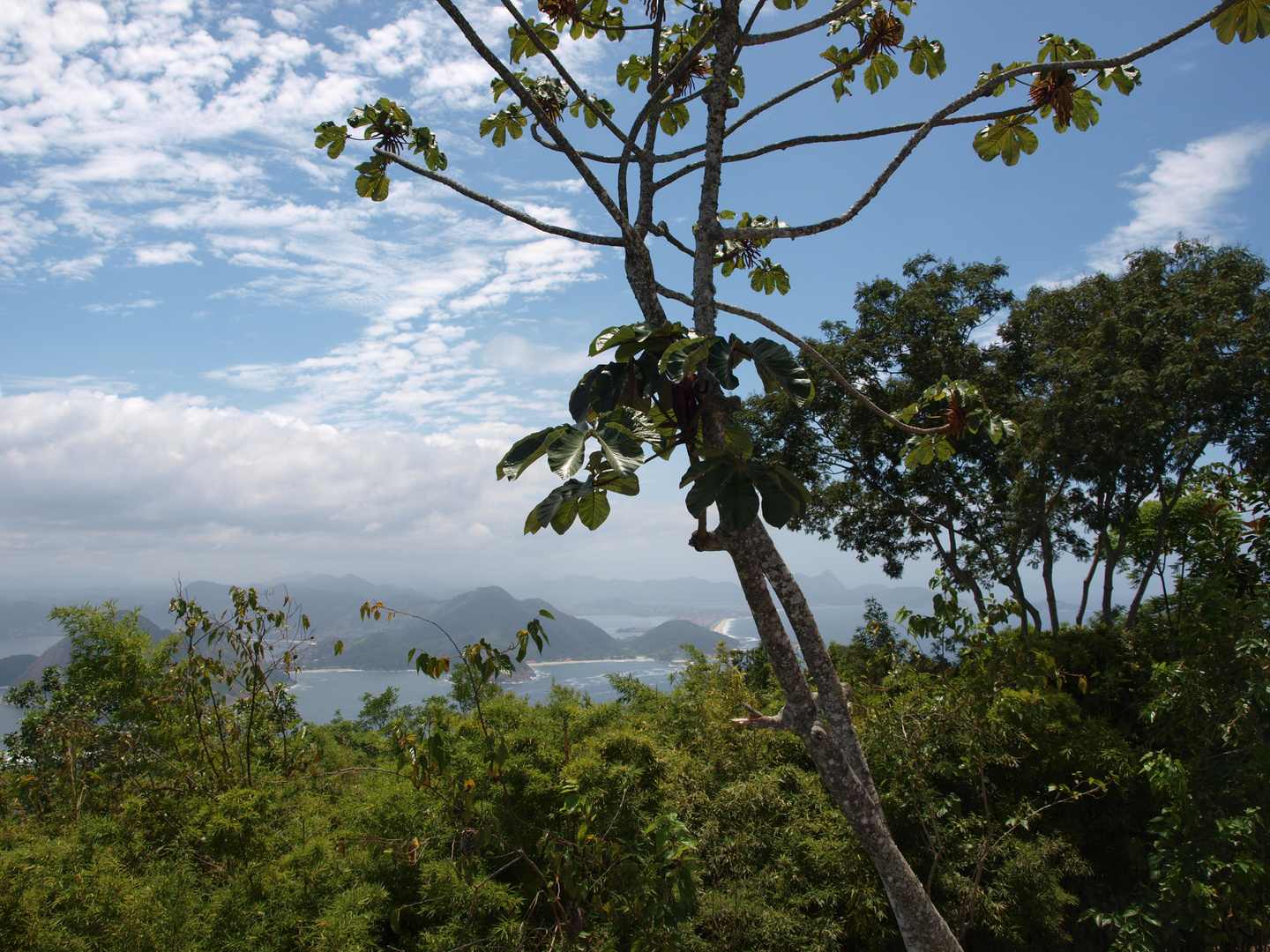 *** Rio de Janeiro***