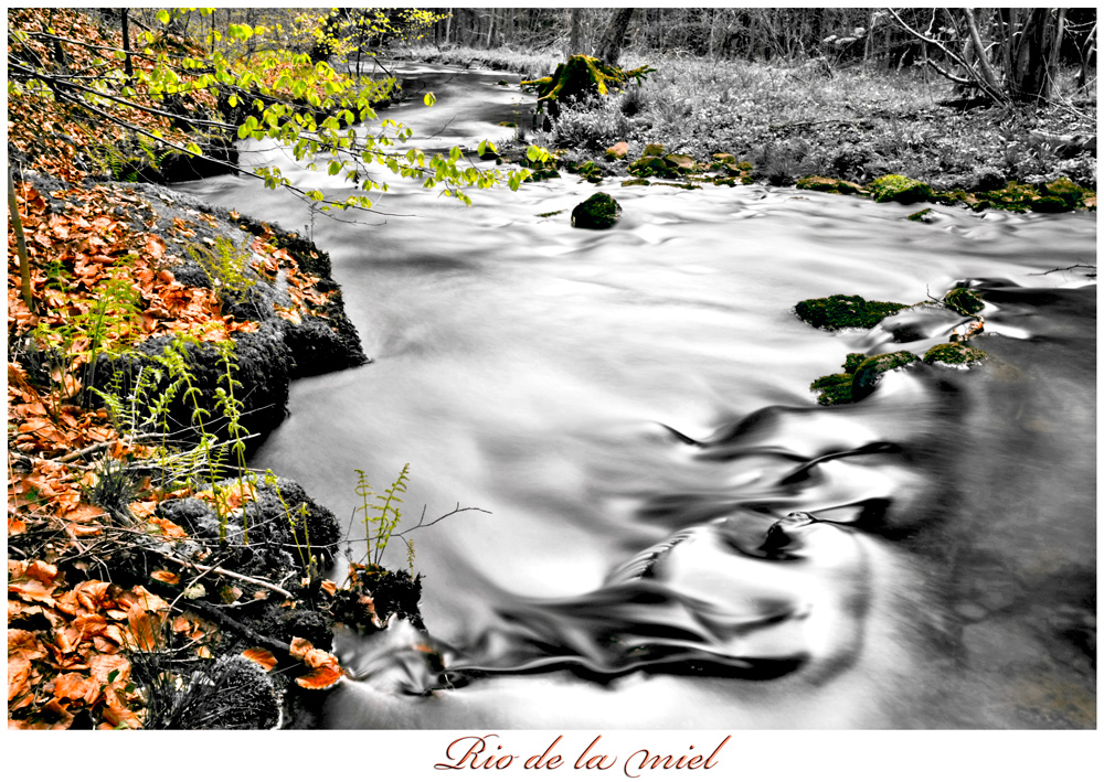 --- RIO DE LA MIEL ---