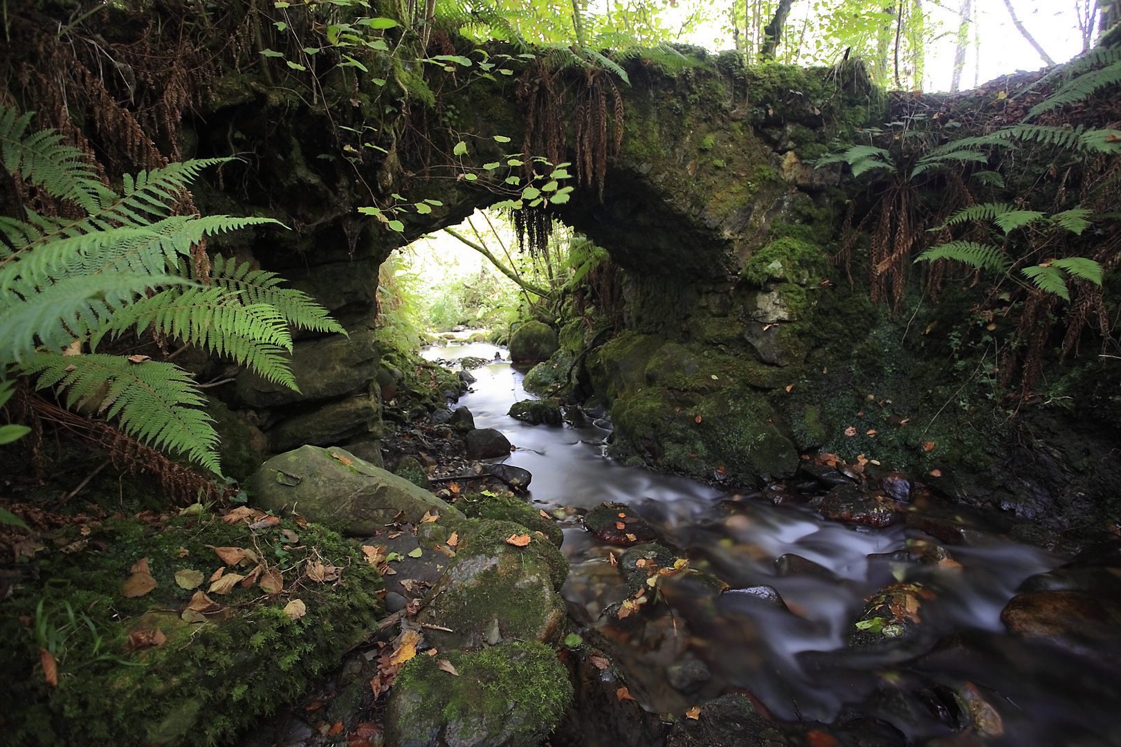 Río de Rabiaos