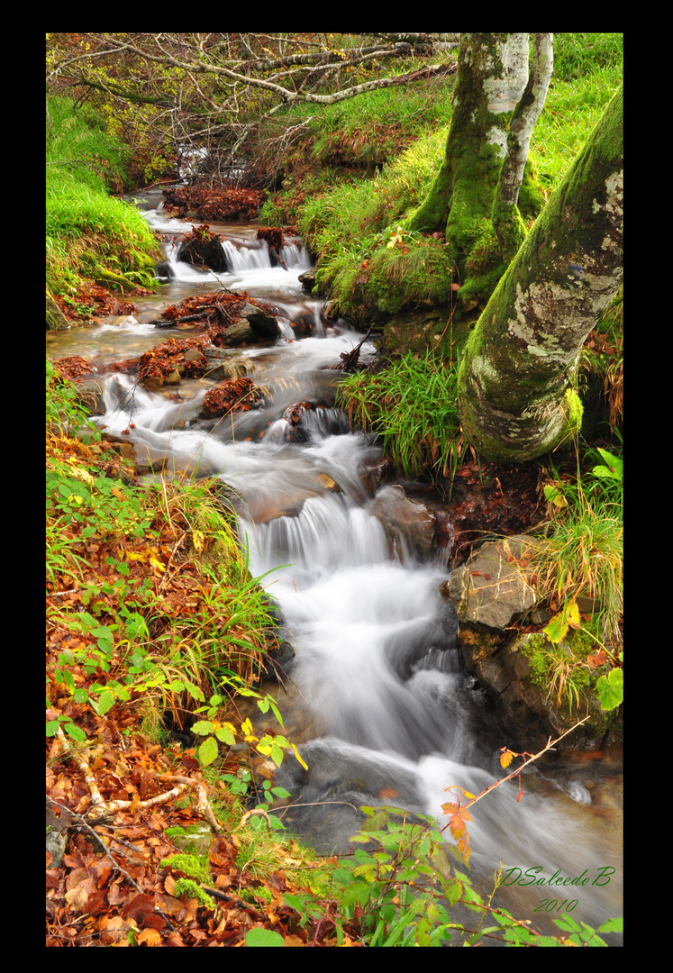 Rio de seda