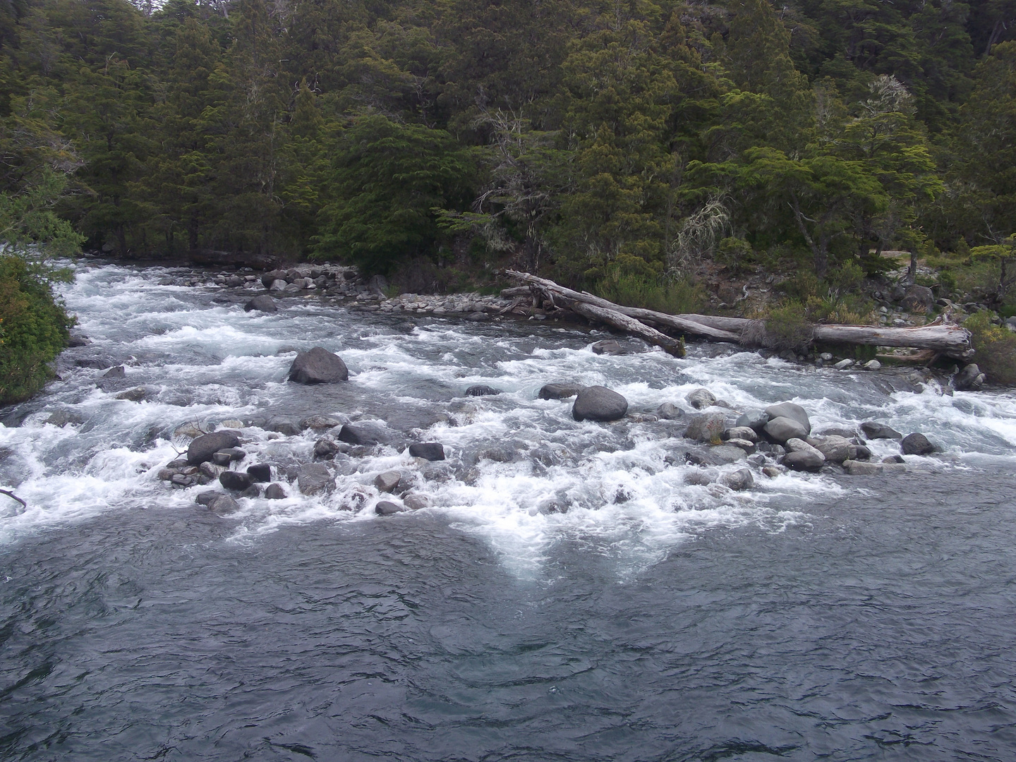 Río depositando sus aguas en el lago