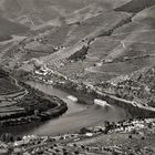 Rio Douro 10