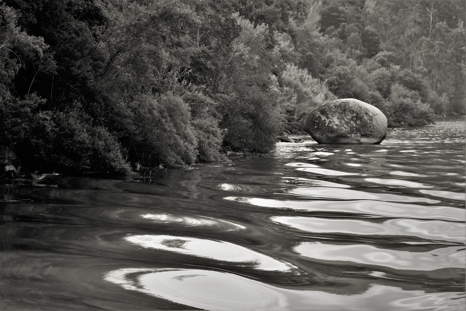 Rio Douro 3