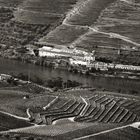 Rio Douro 9