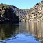 Río Duero. arribes del duero