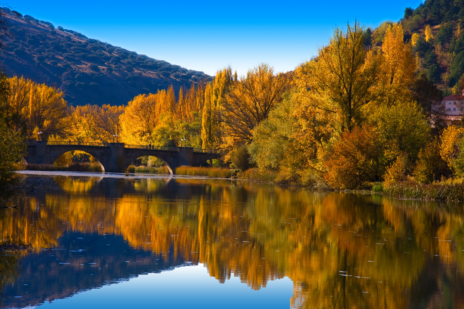 RIO DUERO EN OTOÑO