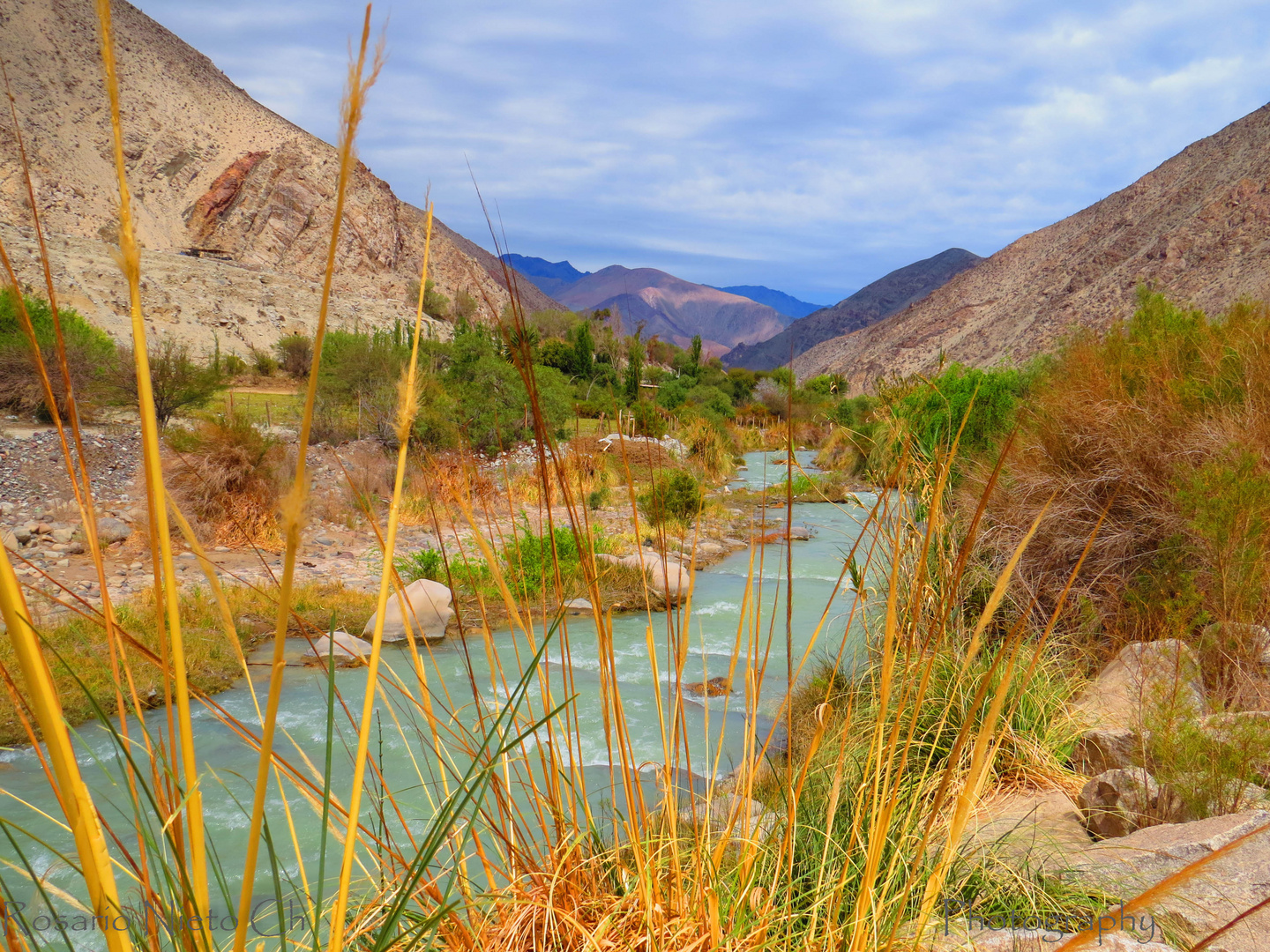 Rio Elqui