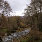 Rio en el Valle del Jerte