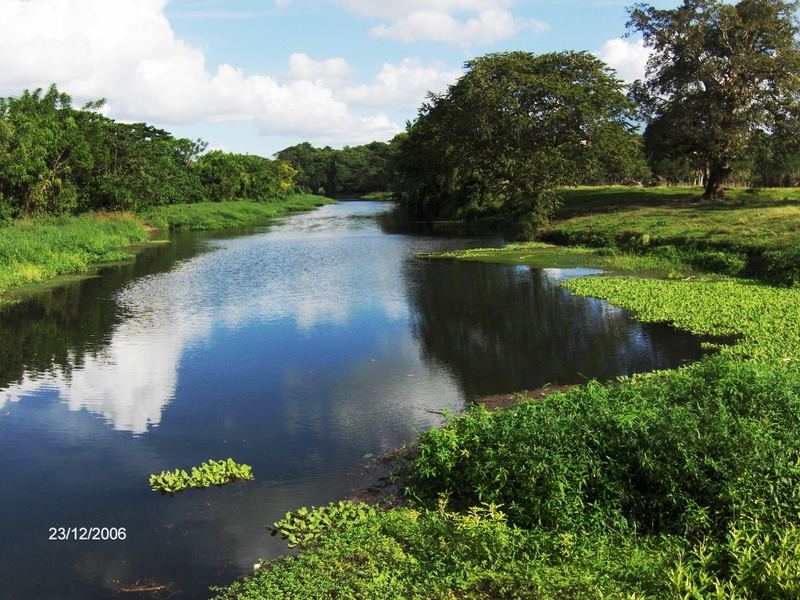 Rio en Ingenio Consuelo RD