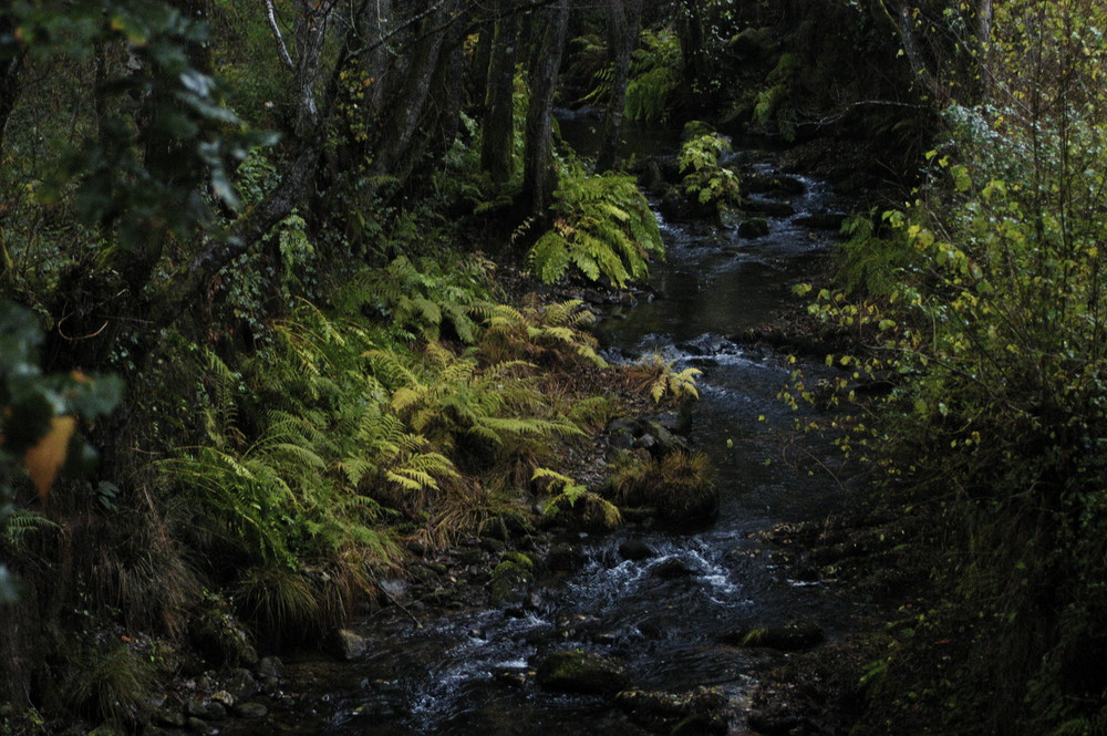 Río en negro y azul