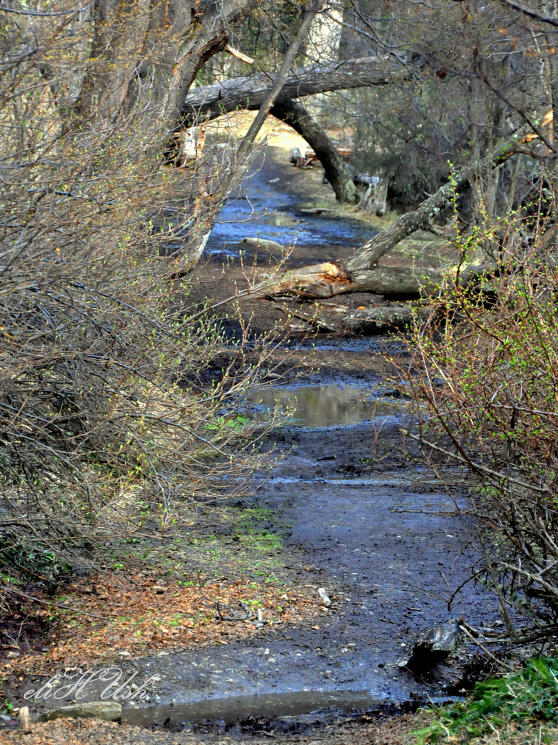 Rio encantado