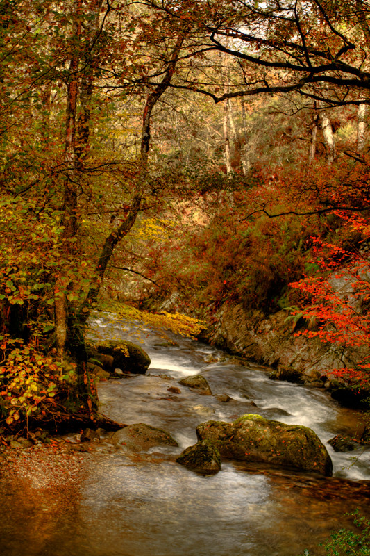 RIO ESPINAREDO ASTURIAS