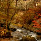 RIO ESPINAREDO ASTURIAS