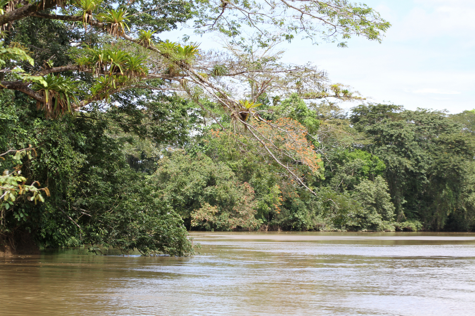 Rio Frio (4)