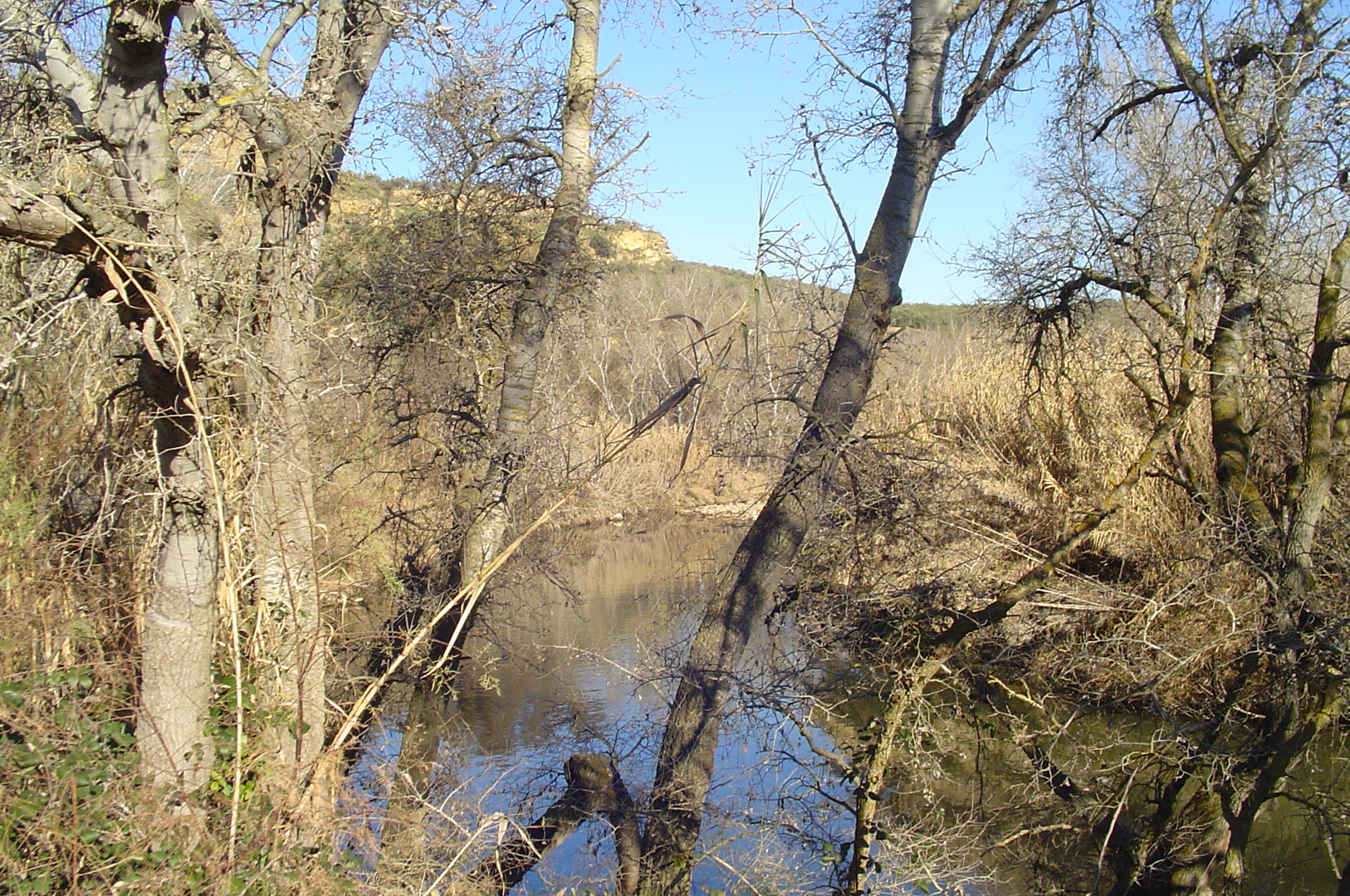 Río Genil en Otoño