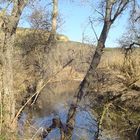 Río Genil en Otoño