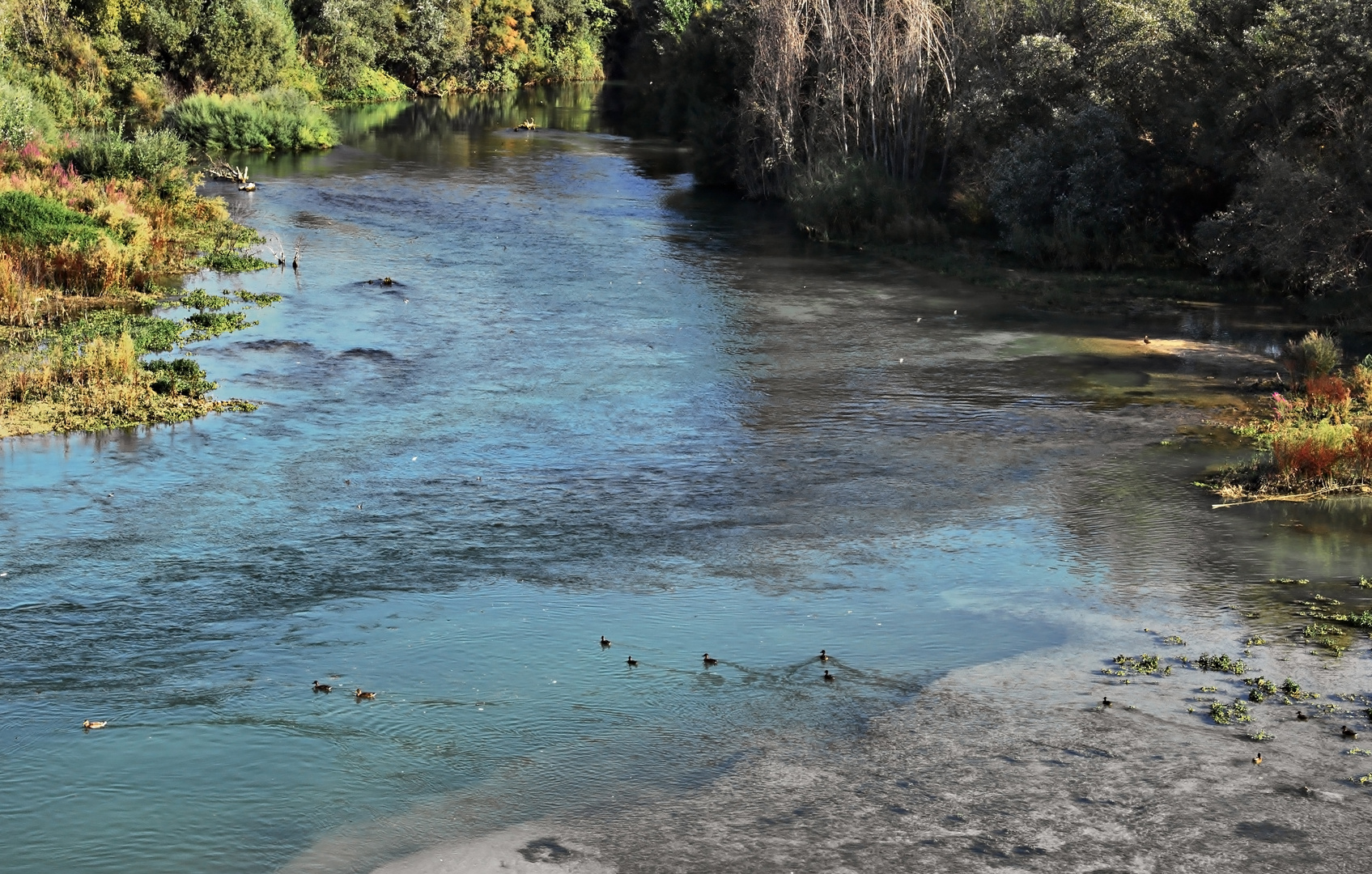 Rio Genil, su paso por Vadofresno