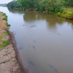 Rio Grande de Tárcoles