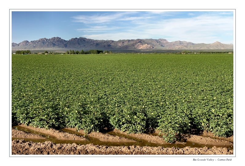 Rio Grande Valley