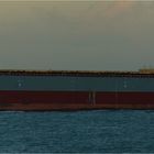 RIO GRITA / Bulk Carrier / Rotterdam / Bitte scrollen!